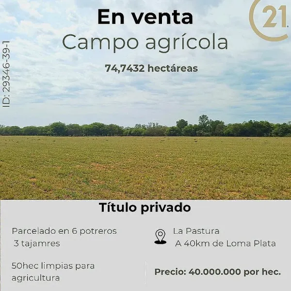 Campo en venta - 74 hectareas