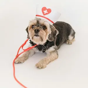 Consulta médica veterinaria