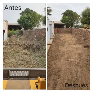 Limpieza de terreno