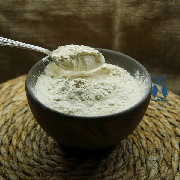 Cebolla en polvo