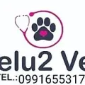 Imagen de Pelu2Vet
