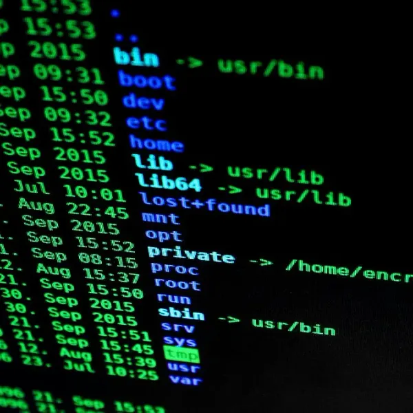 Servidores Linux