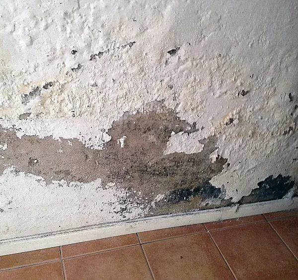 Consultoría de patologías constructivas
