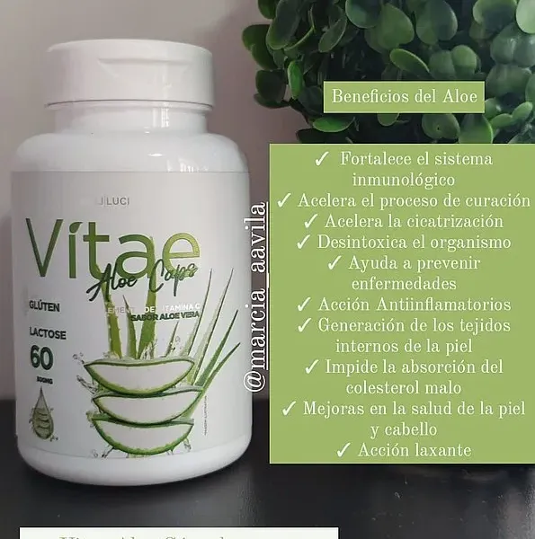Productos Aloe Vera