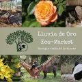 Imagen de Lluvia de Oro Eco-Market