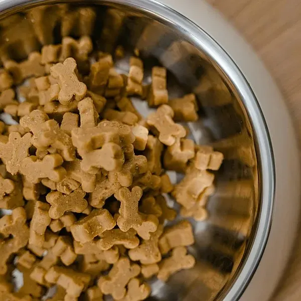 Snacks y alimentos para mascotas