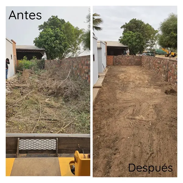 Limpieza de terreno