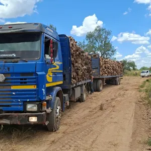 Servicio de fletes
