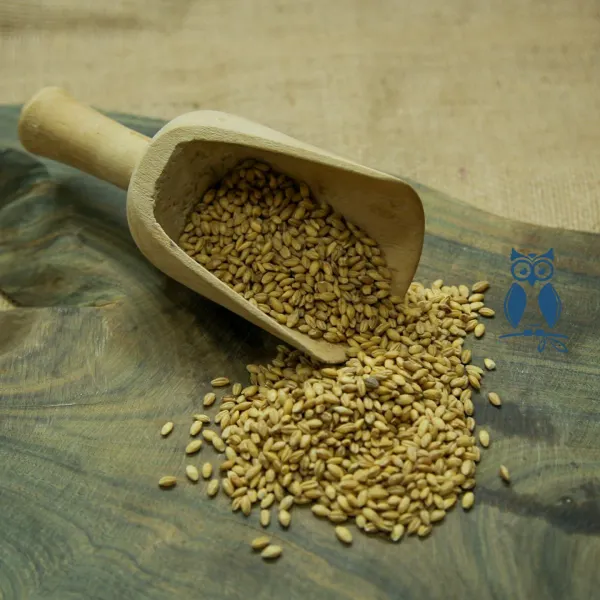 Cebada