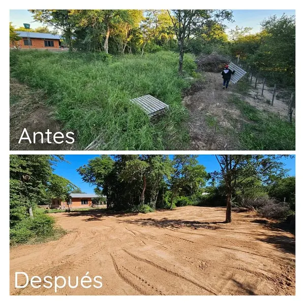 Limpieza de terreno