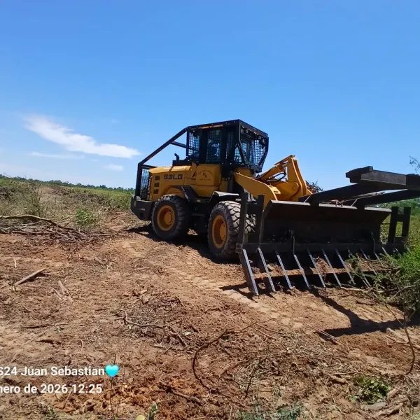 Limpieza de campo con motopala