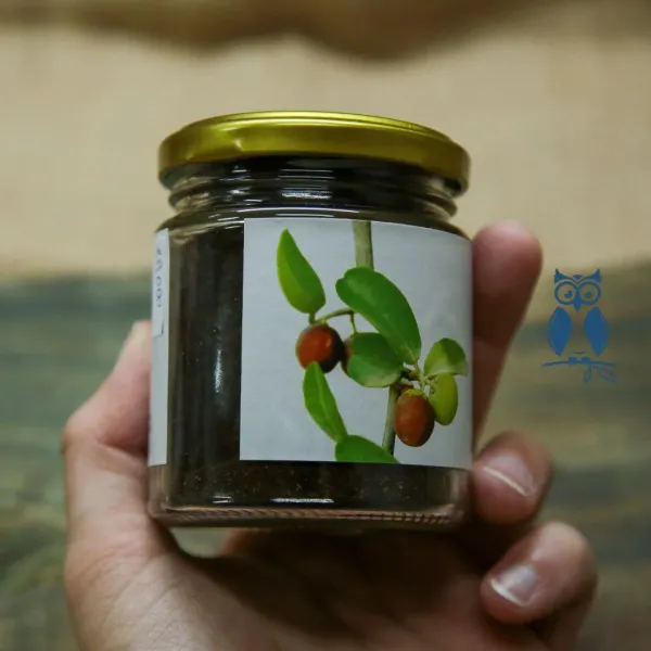 Sucedáneo de Café de Frutos de Mistol