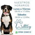 Imagen de Clínica Veterinaria WELLTHY