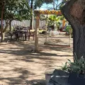 Imagen de Ela's Ice Cream Store