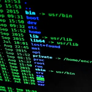 Servidores Linux