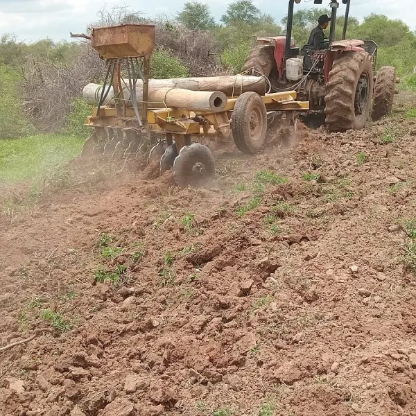 Desarollo y mantenimiento de pasturas en el Chaco