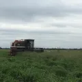 Imagen de Servicios Agropecuarios WAOF