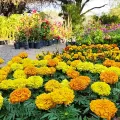 Imagen de Garten Shop