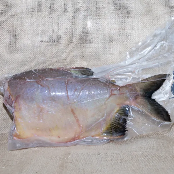 Pacu sin cabeza congelado