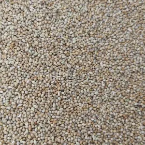 Venta de semilla milheto en el chaco