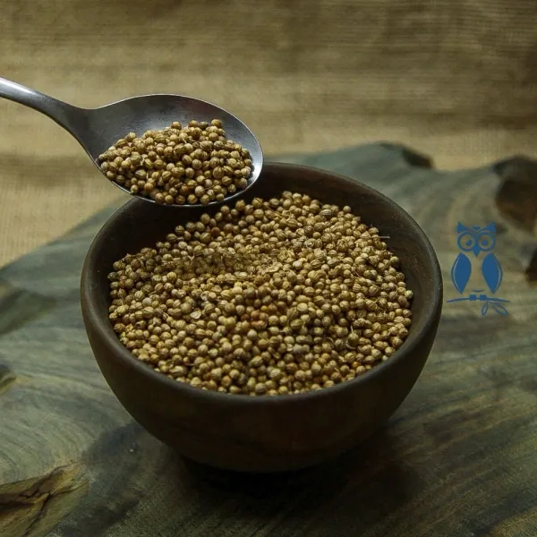 Semillas de cilantro orgánicas