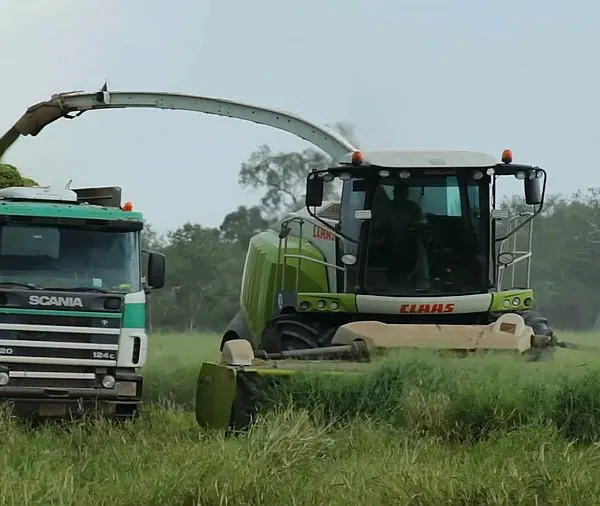 Servicios de Silage y Silo Bolsa