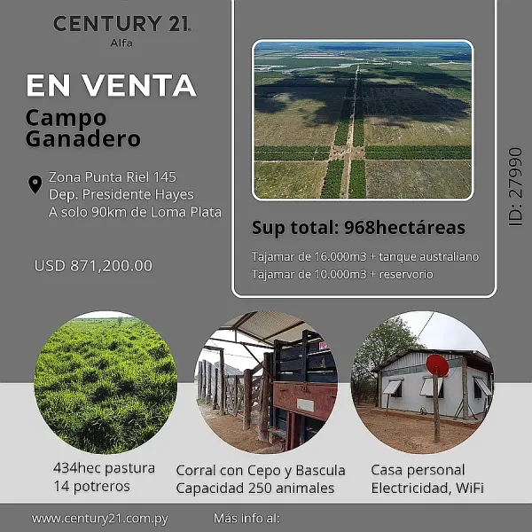 Campo 968 hectáreas