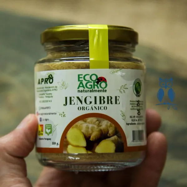 Jengibre orgánico en polvo