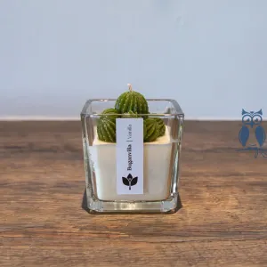 Velas decorativas de cera de soja