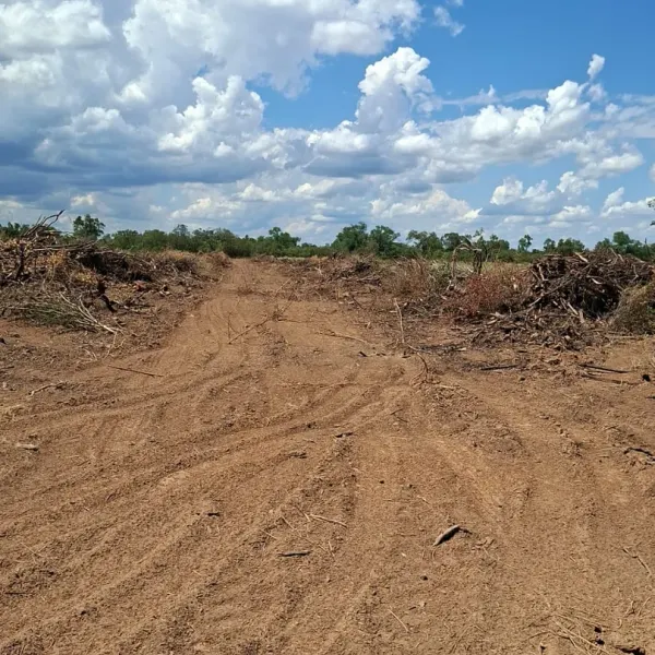 Limpieza de campo con motopala