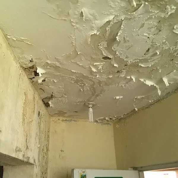 Consultoría de patologías constructivas