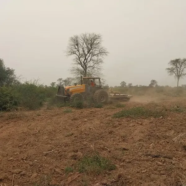 Desarollo y mantenimiento de pasturas en el Chaco