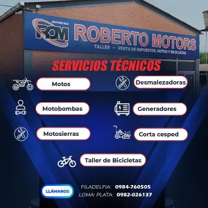 Servicio Técnico para Moto, Desmalezadora, Motobomba, Generador,
