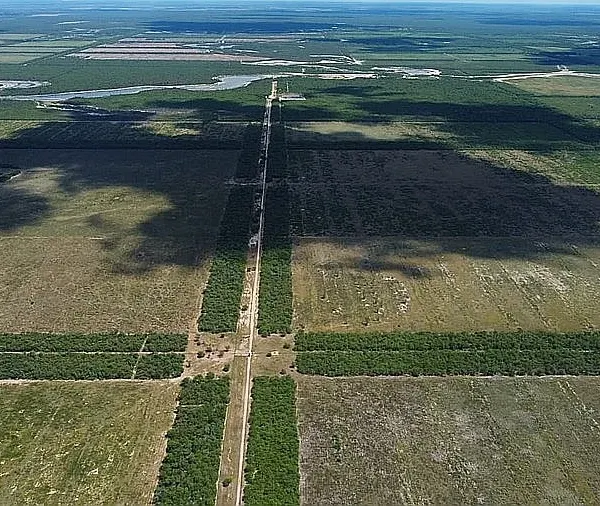 Campo 968 hectáreas