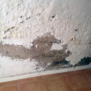 Consultoría de patologías constructivas